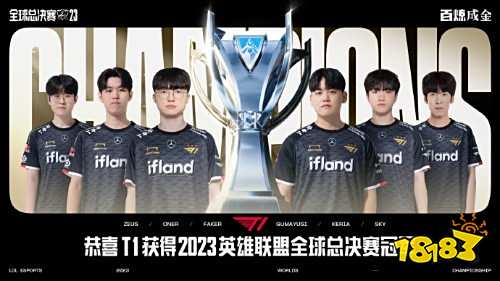 Spirit 战胜了 NAVI，晋级 IEM Katowice 2025 决赛